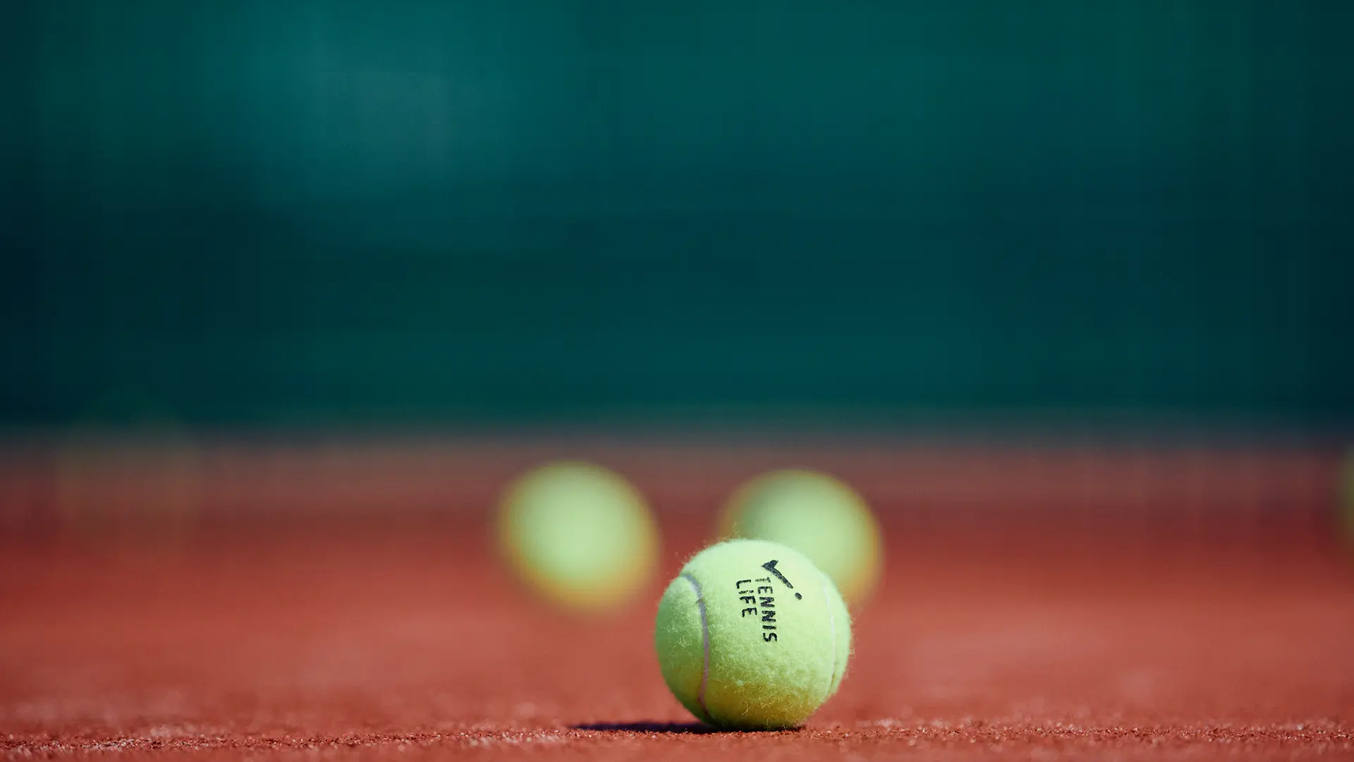 Индивидуальные и групповые тренировки